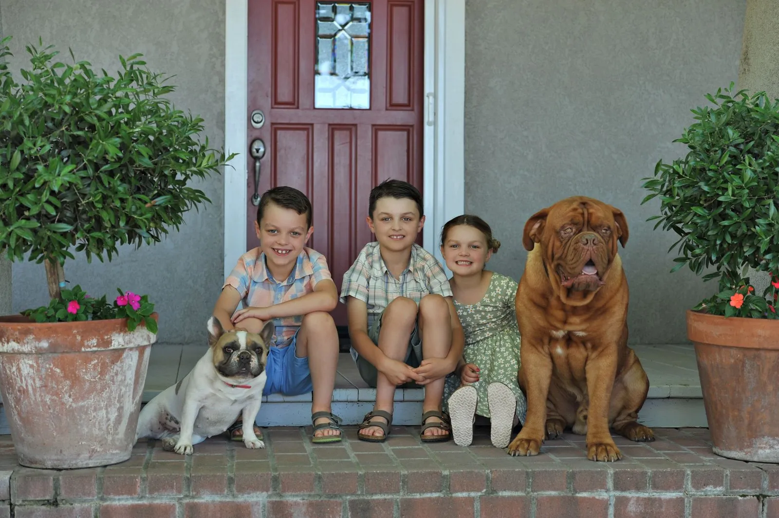 Baron, Ellis, and Blythe on the front porch with the family dogs